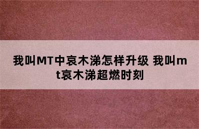 我叫MT中哀木涕怎样升级 我叫mt哀木涕超燃时刻